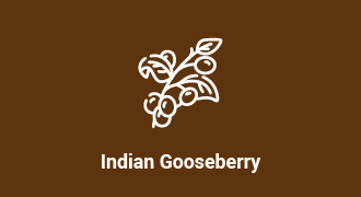 Decorative: Icon of indian gooseberry