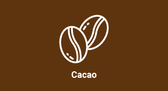 Decorative: Icon of cacao